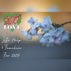 Let's Help 3 Families For 2023! | 360° LOVE CARES, Inc. ™ Award Fund