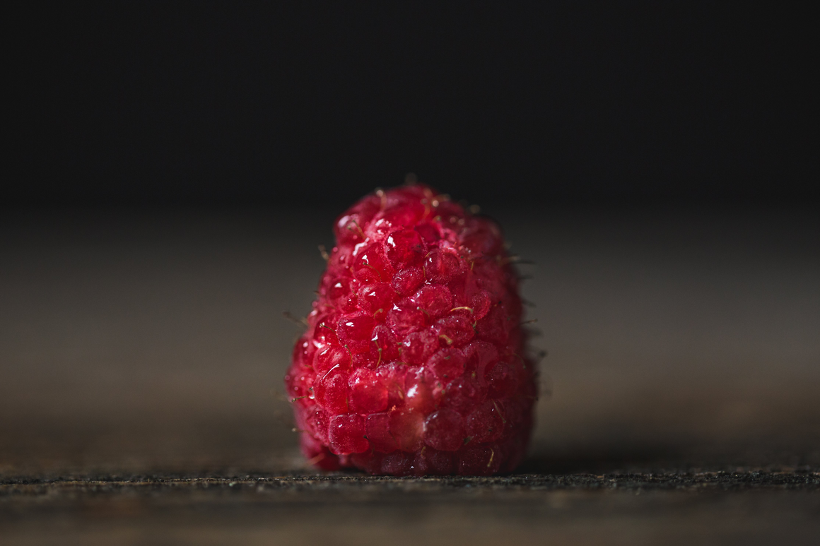 Plant Based Meal Plans